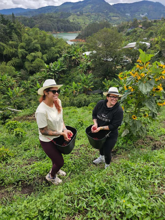 Medellin: Guatape, El Peñol Coffee Farm Private Tour & Fruit - Climbing El Peñol Rock