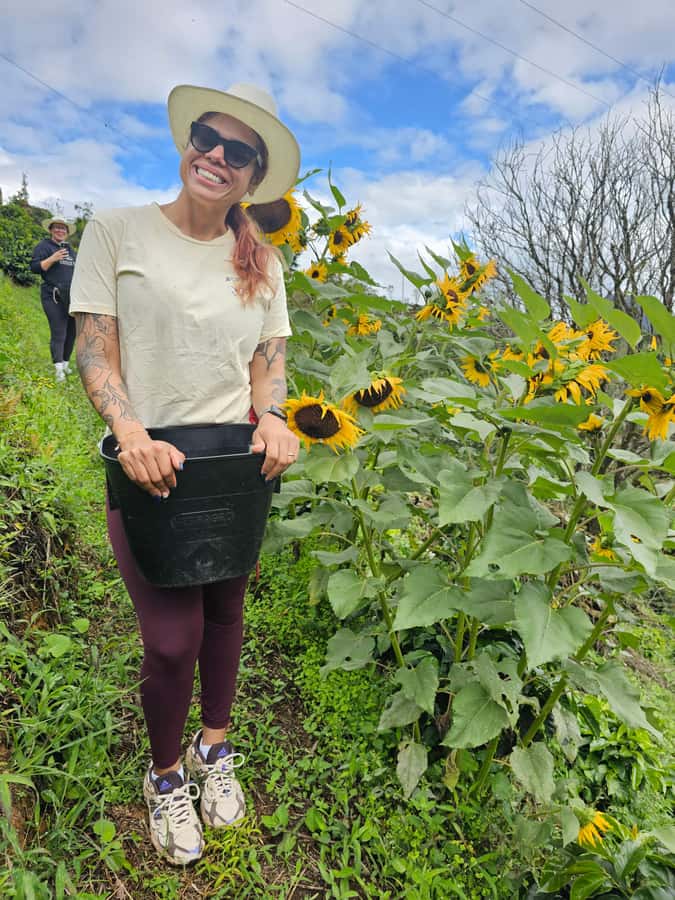 Medellin: Guatape, El Peñol Coffee Farm Private Tour & Fruit - Lunch in Guatapé, paid separately