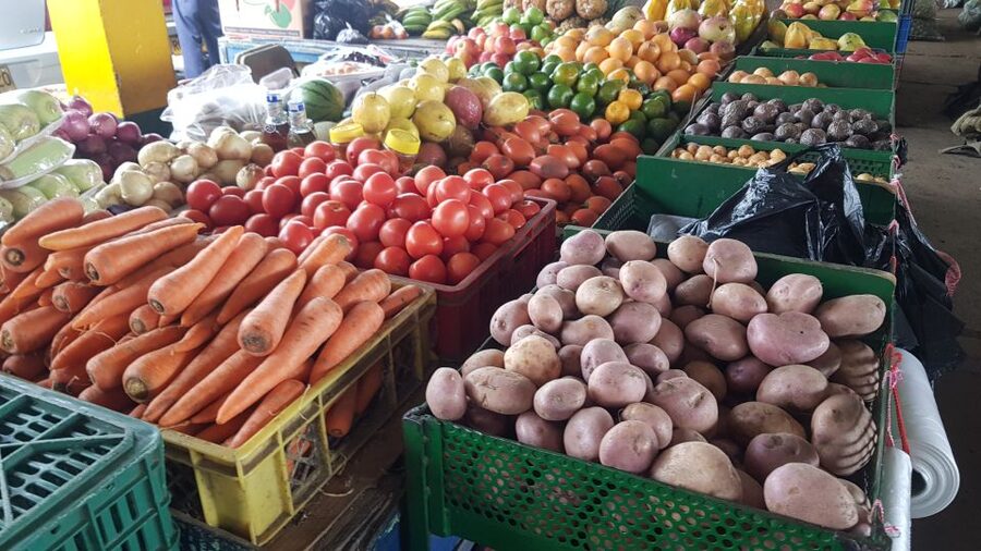 Medellin: Guatape, El Peñol Coffee Farm Private Tour & Fruit - The guide makes the difference