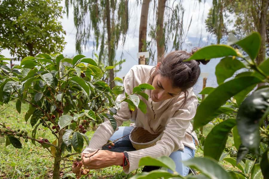 Medellin: Horseback Riding Coffee Farm Tour with Coffee Spa - From Arvi Station to the Don Leandro Coffee Farm