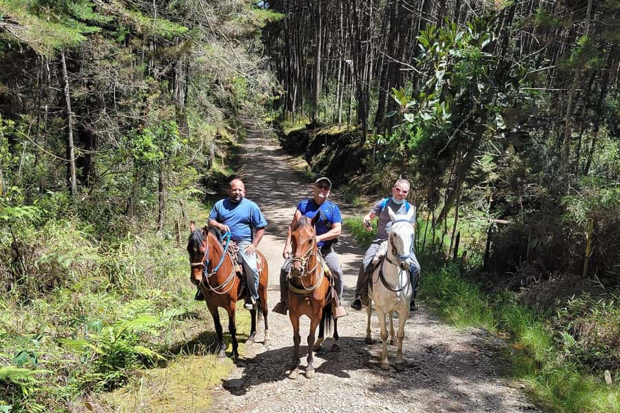 Medellin: Horseback Riding Coffee Farm Tour with Coffee Spa - Brewing Methods and Coffee Tasting