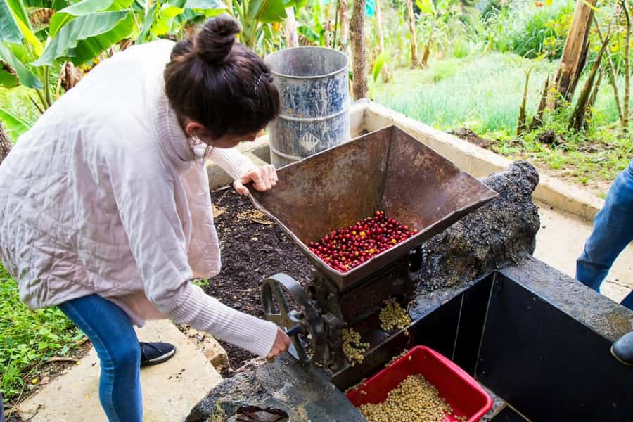 Medellin: Horseback Riding Coffee Farm Tour with Coffee Spa - Timing, Weather, and What to Pack
