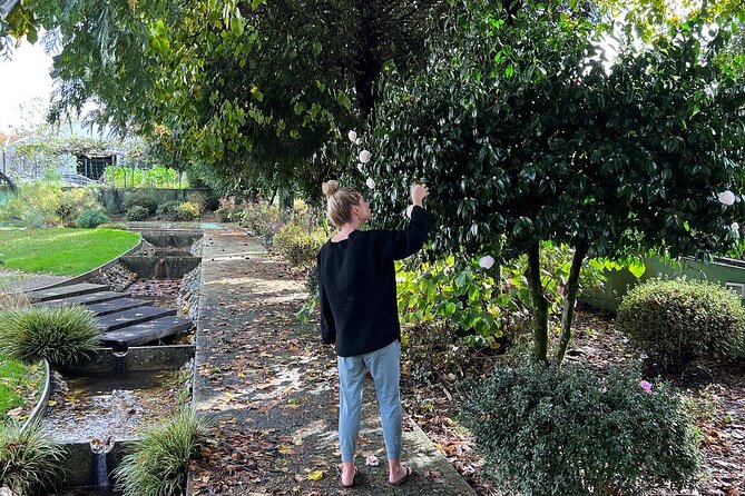 Meditation Experience at a Lovely Farm in Porto - What the two-hour session may feel like