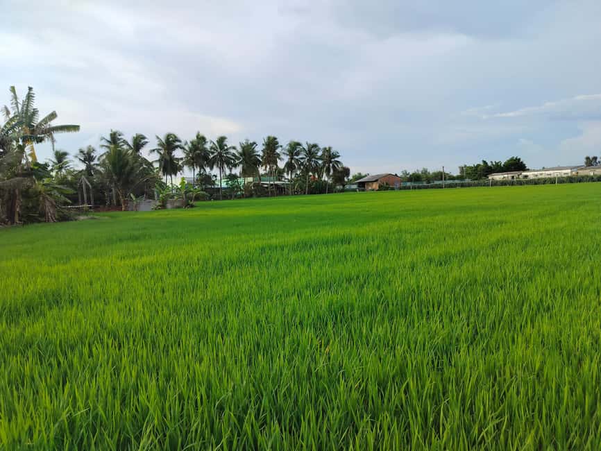 Mekong Delta Day Trip: Explore Cycling & Cook Classes Farm - Vinh Trang Pagoda and a change of pace