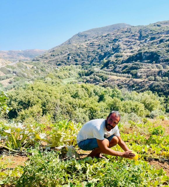 Melanes: Naxos Perivoli Farm & Cooking Class with Wood Fire - Who should book this Naxos experience?