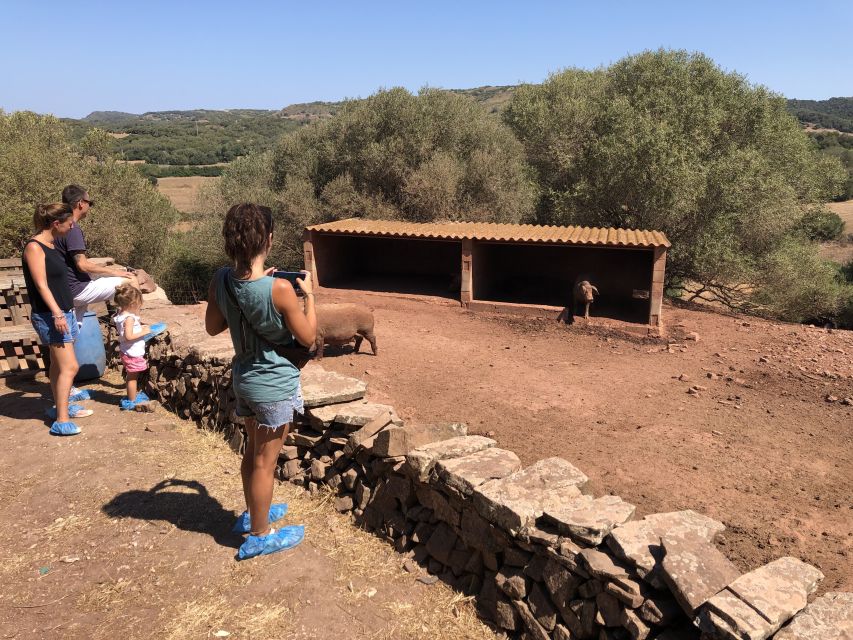 Menorca: Cheesemaking and Farm-Fresh Product Tasting - My Recommendation