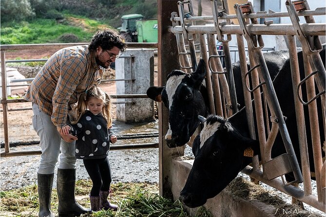 Menorca: Cheesemaking and Farm-Fresh Product Tasting - Feeding cows and bottle-feeding calves