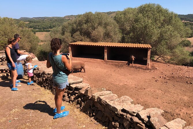 Menorca: Cheesemaking and Farm-Fresh Product Tasting - Who will enjoy this most