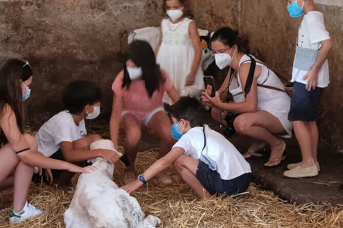 Menorca: Cheesemaking and Farm-Fresh Product Tasting - Meeting the Cows and Calves