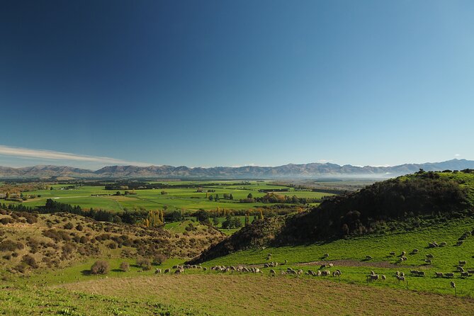 Merino Farm Experience - Gardens With Flowers and Vegetables