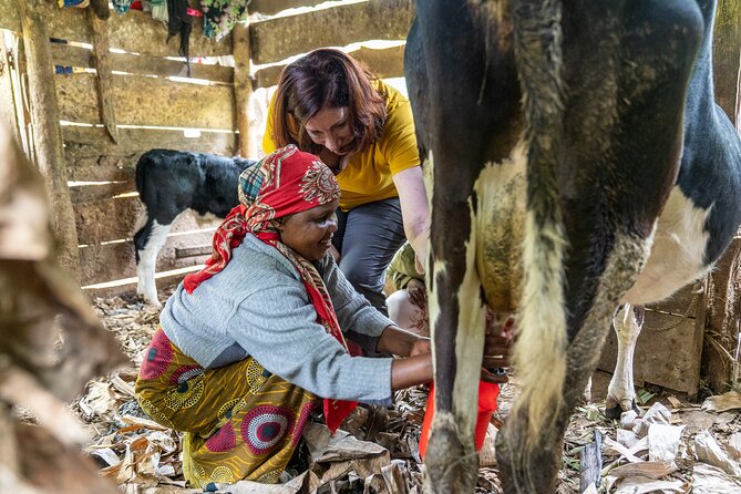 Microfinance family farm tour - all proceeds to charity - Why this farm visit matters beyond sightseeing