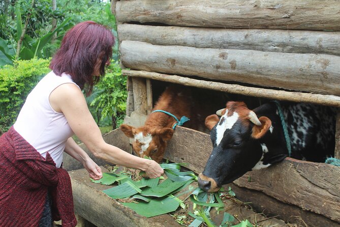 Microfinance family farm tour - all proceeds to charity - Meeting Mama Max and seeing the farm grow