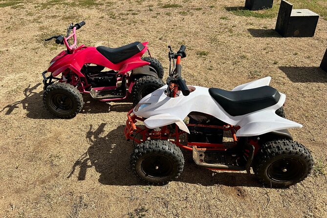 Mini ATVs and Farm Animal Experience - Key points to know before booking