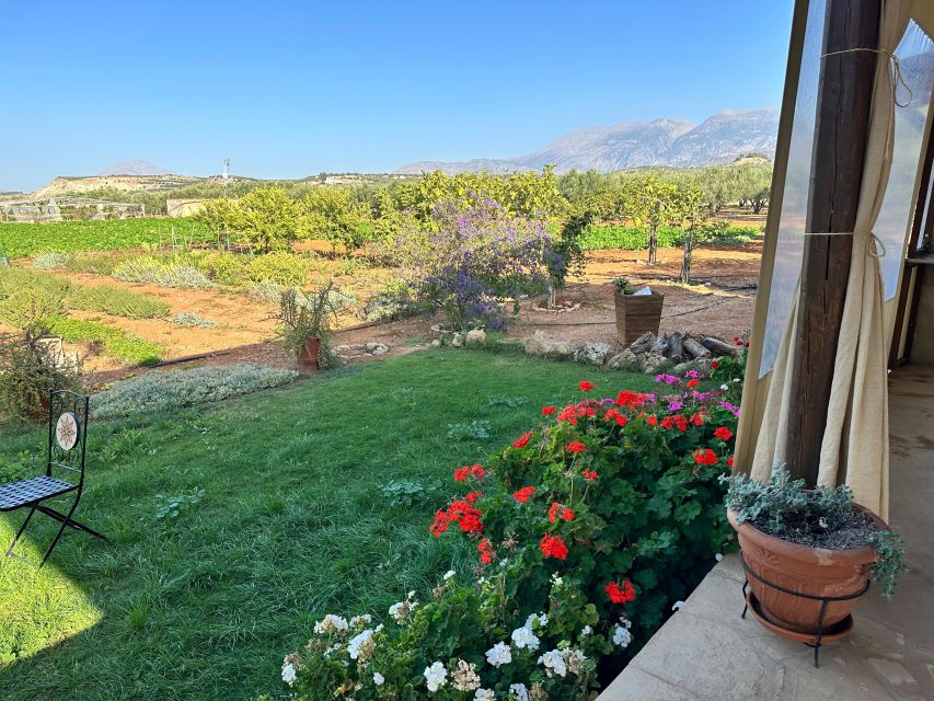 Moires: Cooking Class and Olive Oil Tasting at a Family Farm - Is $100 a fair price?