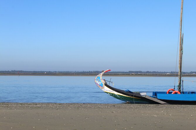Moliceiro boat trip, with experience in bivalves harvesting - A working lagoon, not just a boat ride
