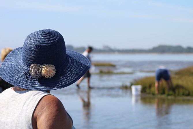 Moliceiro boat trip, with experience in bivalves harvesting - Why this works well for families