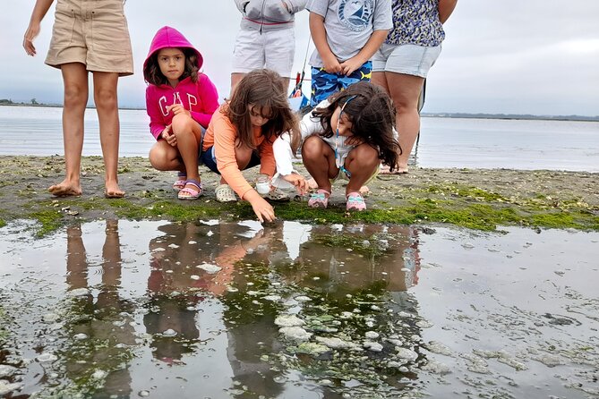 Moliceiro boat trip, with experience in bivalves harvesting - What the two hours and fifteen minutes include