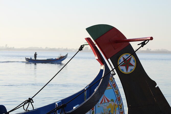 Moliceiro boat trip, with experience in bivalves harvesting - Practical details that matter