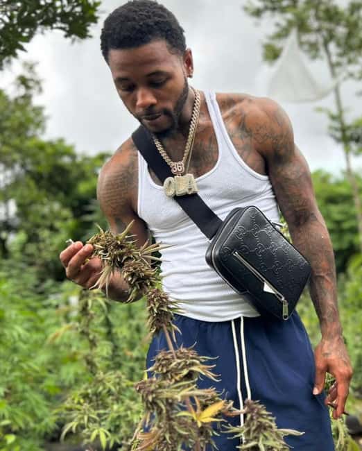 Montego Bay: Cannabis Farm, Bamboo Rafting, & Foot Massage - Key points at a glance