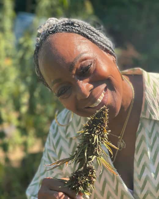 Montego Bay: Cannabis Farm, Bamboo Rafting, & Foot Massage - What the private-group format changes