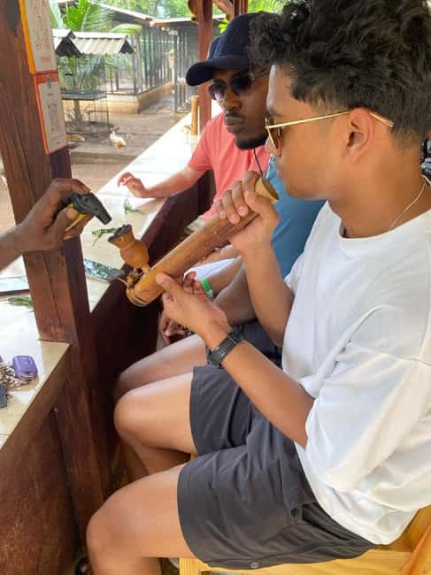 Montego Bay: Marijuana Farm and Bird Sanctuary Tour - Key points to know before booking
