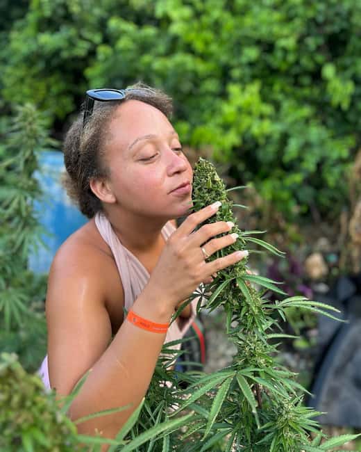 Montego Bay: Marijuana Farm and Bird Sanctuary Tour - What you are really booking in Montego Bay