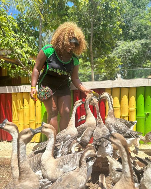 Montego Bay: Marijuana Farm and Bird Sanctuary Tour - A food stop is useful, but budget for it separately