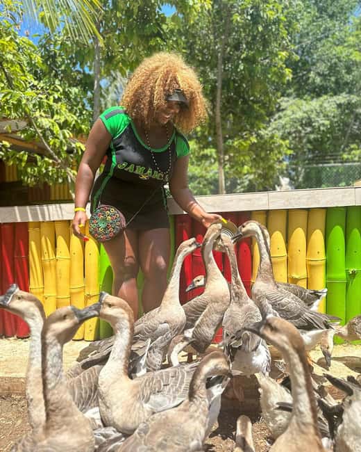 Montego Bay: Marijuana Farm and Bird Sanctuary Tour - Private transport is the clearest value