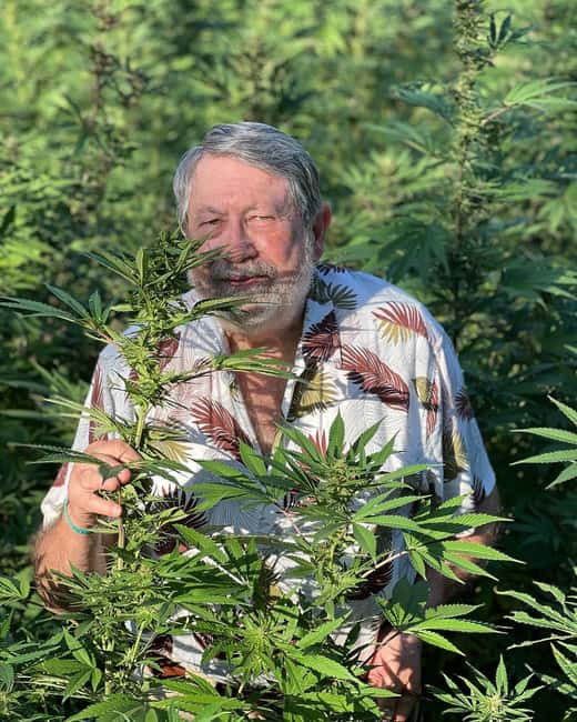 Montego Bay: Marijuana Farm Private Tour with Transportation - Key points at a glance