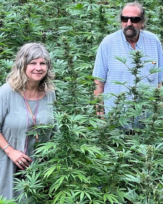 Montego Bay: Marijuana Farm Private Tour with Transportation - What the Montego Bay marijuana farm tour is really like