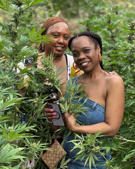 Montego Bay: Marijuana Farm Private Tour with Transportation - Sampling flower, extracts, and infused products