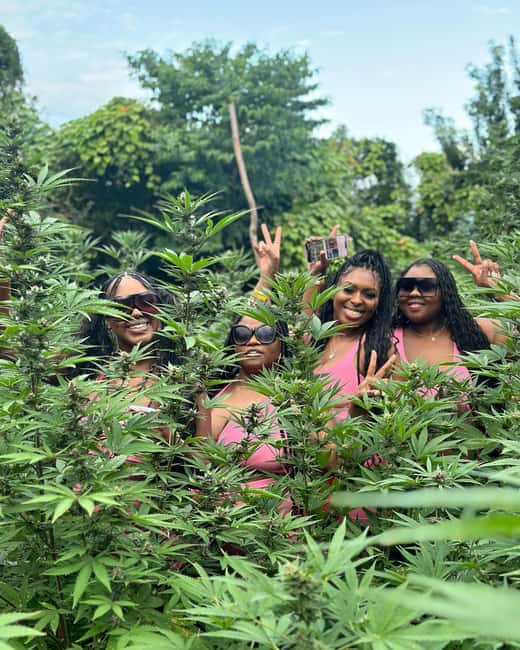 Montego Bay Marijuana Farm Tour - Leaving Montego Bay for Cornwall County