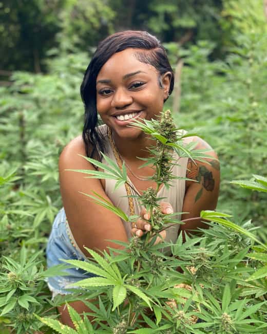 Montego Bay Marijuana Farm Tour - Meeting the guide and making the most of the visit