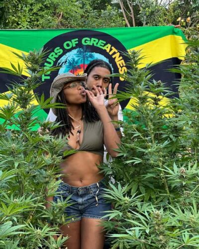 Montego Bay Marijuana Farm Tour