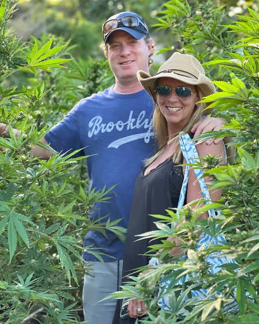 Montego Bay Marijuana Farm Tour - The photo stop and the changing crop