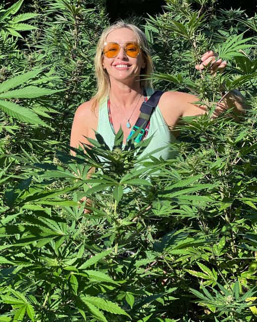 Montego Bay Marijuana Farm Tour - Who will enjoy this Montego Bay farm tour?