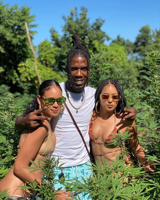 Montego Bay Marijuana Farm Tour - Practical advice for a smoother visit