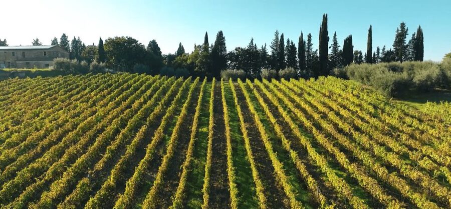 Montespertoli: Poggio Capponi Farm Chianti Wine Tour - Five wines and a generous Tuscan pairing