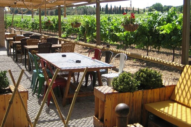 Montserrat & Winery Visit Tour with Traditional Farmhouse Lunch - Choosing between church time and mountain paths