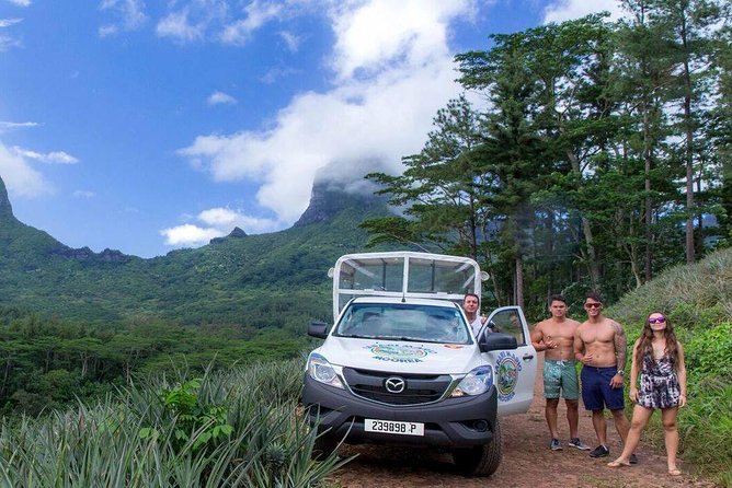 Moorea 4WD Tour Inc. Belvedere, Pineapple Farm, Magic Mountain... - Belvedere Lookout and the island interior