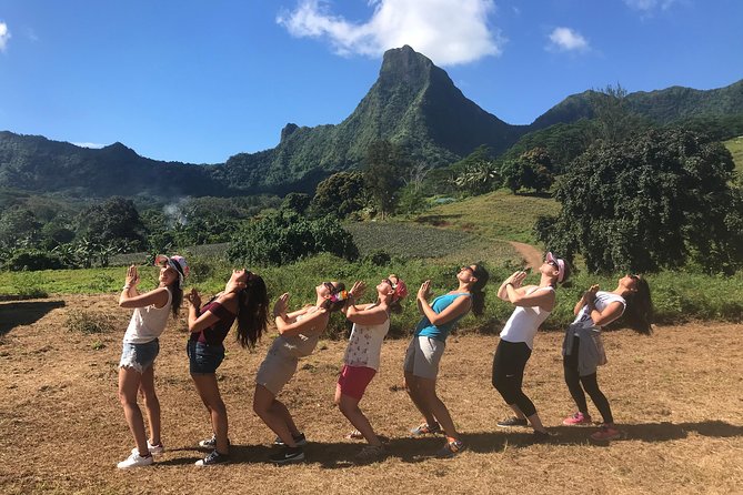 Moorea 4WD Tour Inc. Belvedere, Pineapple Farm, Magic Mountain... - Pineapple fields and Moorea’s farming story