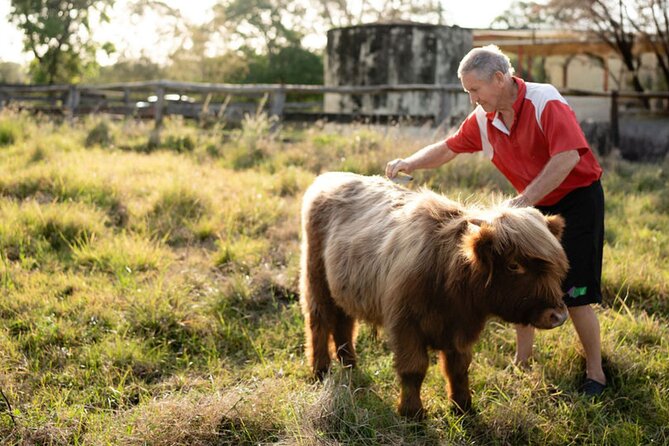 Morning Farm Experience near Gympie & Noosa - Novelty games keep the morning moving