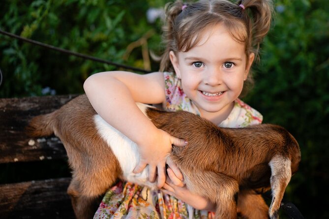 Morning Farm Experience near Gympie & Noosa - Making scones and cooking over the fire