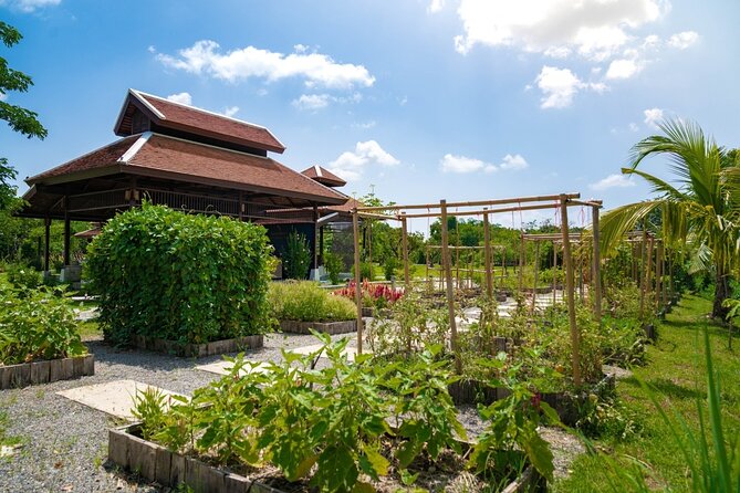 Morning Thai Cooking with Grandma - Market Visit & Farm Tour - Cooking Four Thai Dishes at Your Own Station