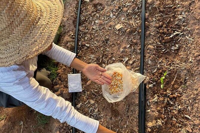 Moroccan Cooking Class and Eco-Farm Visit - Full day - Feeding the animals and sharing the meal