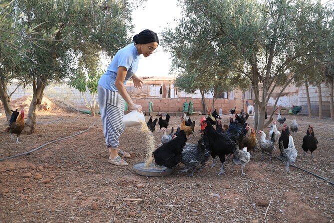 Moroccan Cooking Class and Eco-Farm Visit - Full day - What the $48 price includes