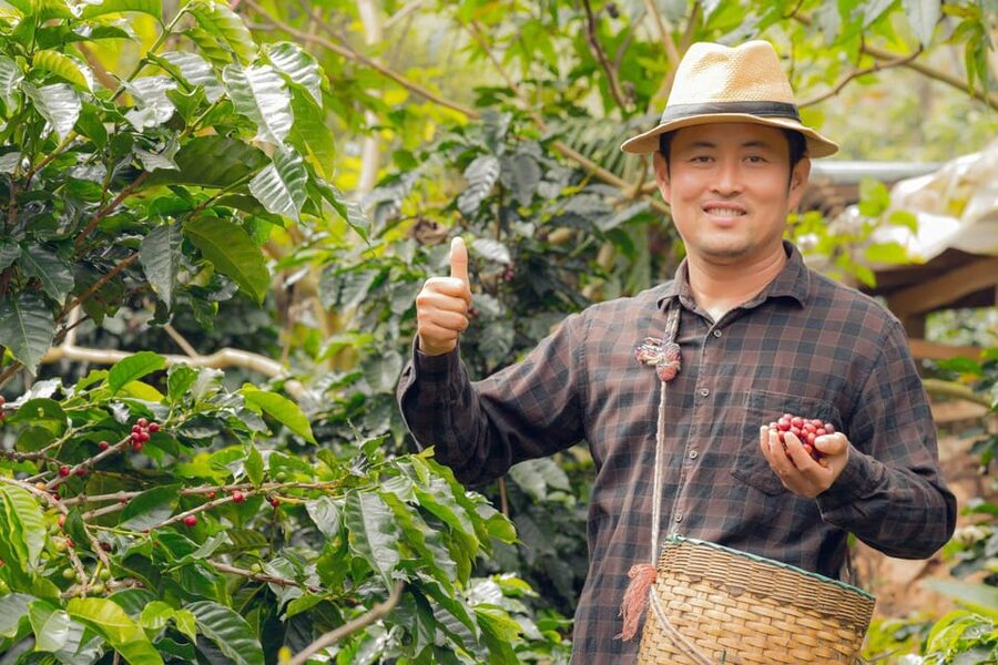 Most complete COFFEE TOUR at local family farm - Timing, extra stops, and realistic expectations