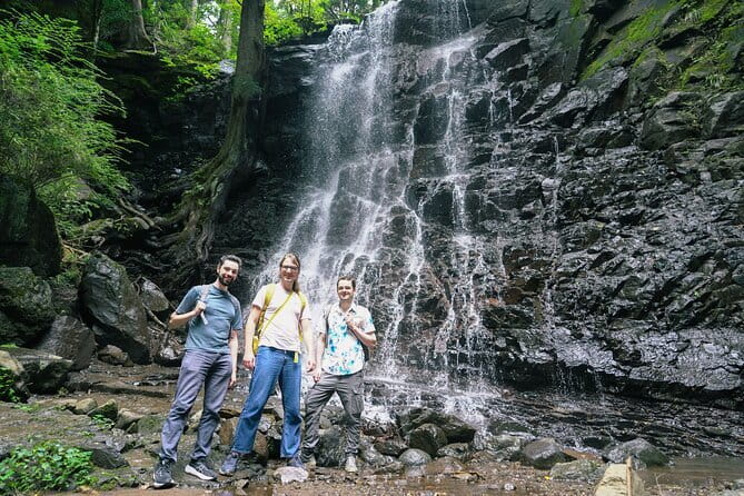 Mt. Fuji Private Chartered Tour with Nature and Wasabi Farm - Starting at 8:00 am from Shinjuku