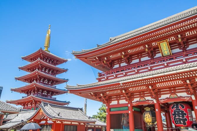 Mt. Fuji Private Chartered Tour with Nature and Wasabi Farm - Regional lunch with useful dietary choices