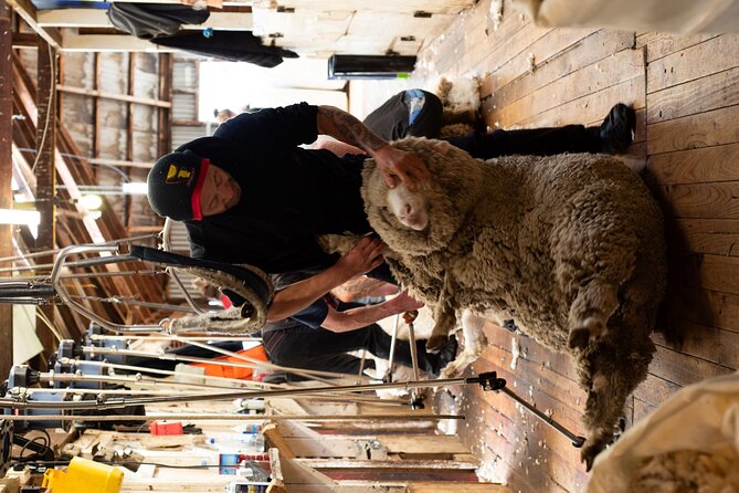 Mt. Hay Farm Experience Genuine Country Farming(Carbon Positive) - Key points at a glance